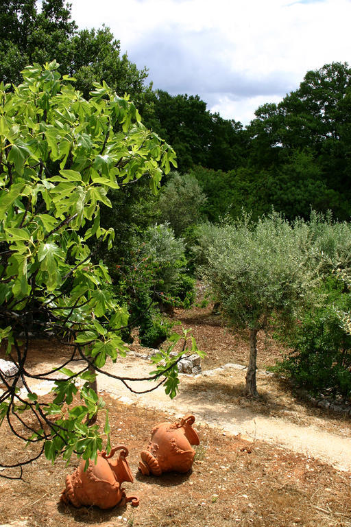 Villa Agriturismo Antonelli Piangevino Monopoli Exterior foto