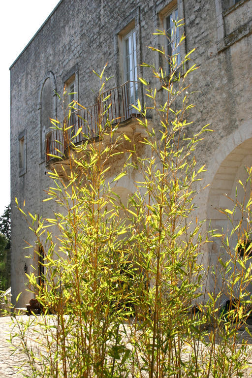 Villa Agriturismo Antonelli Piangevino Monopoli Exterior foto